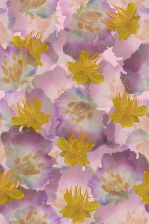 香云纱印花华亿平台图片