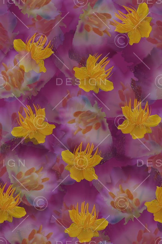 香云纱印花华亿平台图片