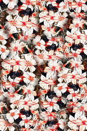 肌理印花华亿平台图片