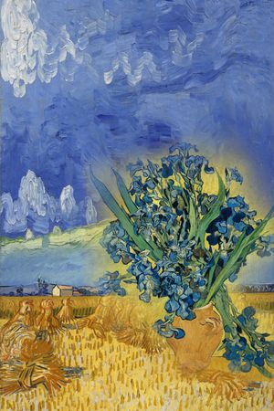 复古印花华亿平台图片