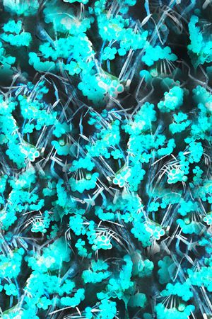 肌理印花华亿平台图片