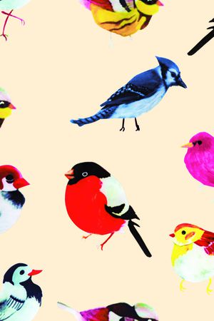 动物印花华亿平台图片