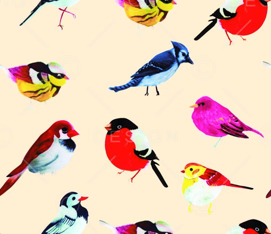 动物印花华亿平台图片