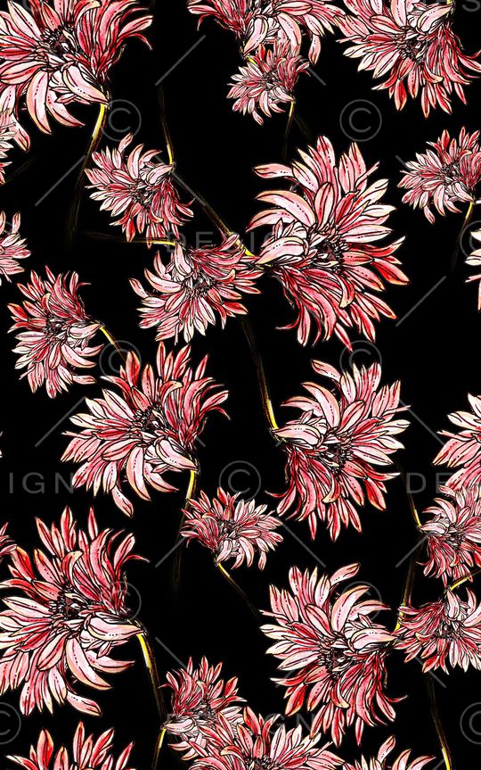 黑底花卉印花华亿平台图片