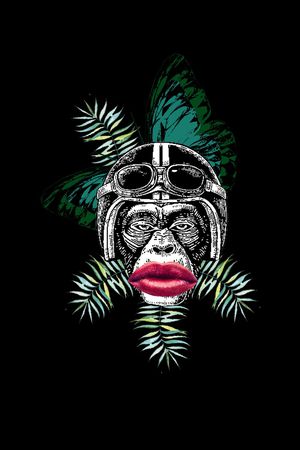 蝴蝶印花华亿平台图片