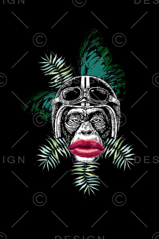 蝴蝶印花华亿平台图片