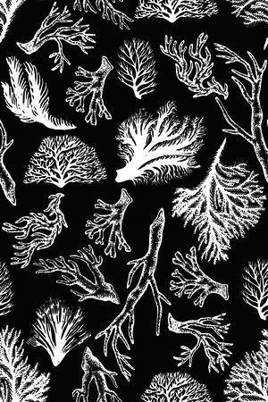 珊瑚印花华亿平台图片