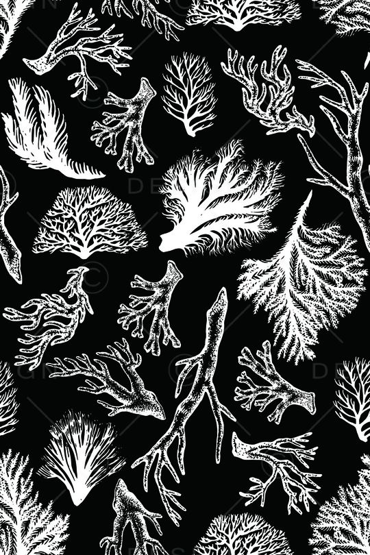 珊瑚印花华亿平台图片