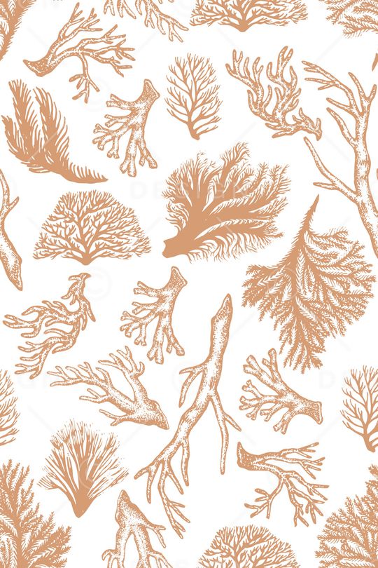 珊瑚印花华亿平台图片