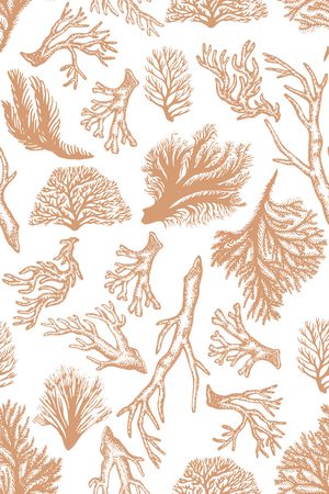 珊瑚印花华亿平台图片