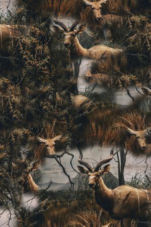 胸前独幅印花华亿平台图片