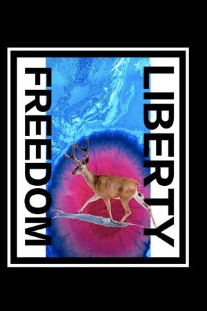 胸前独幅印花华亿平台图片