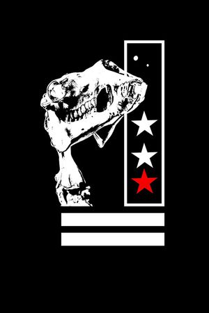 胸前独幅印花华亿平台图片