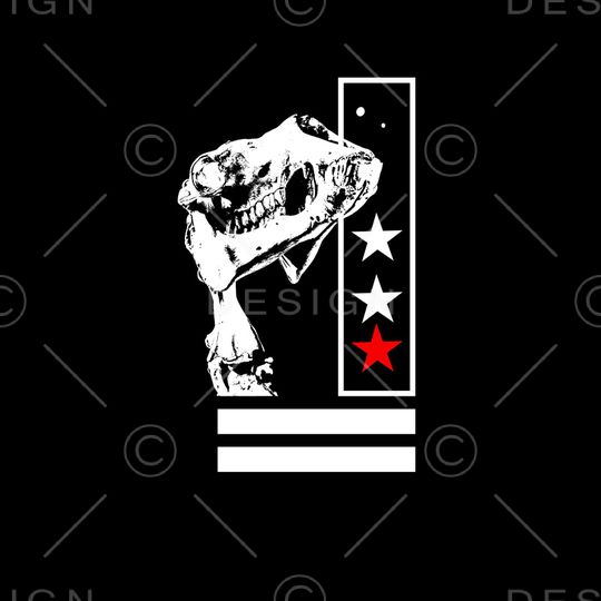 胸前独幅印花华亿平台图片