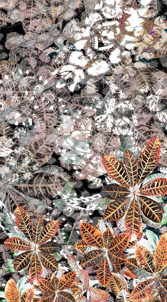 大牌风印花华亿平台图片