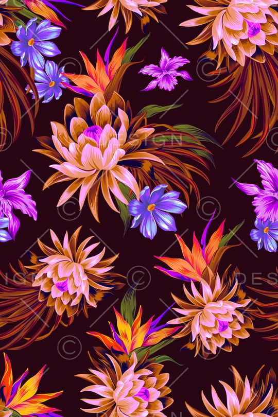 天堂鸟印花华亿平台图片