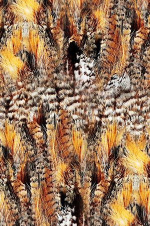 豹纹印花华亿平台图片