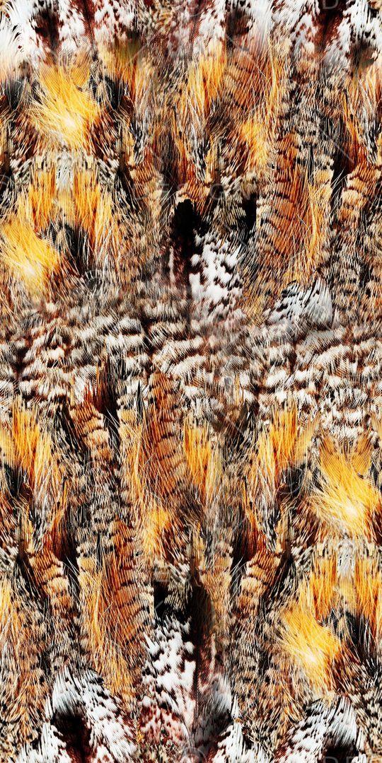 豹纹印花华亿平台图片