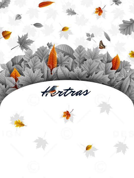 花鸟印花华亿平台图片