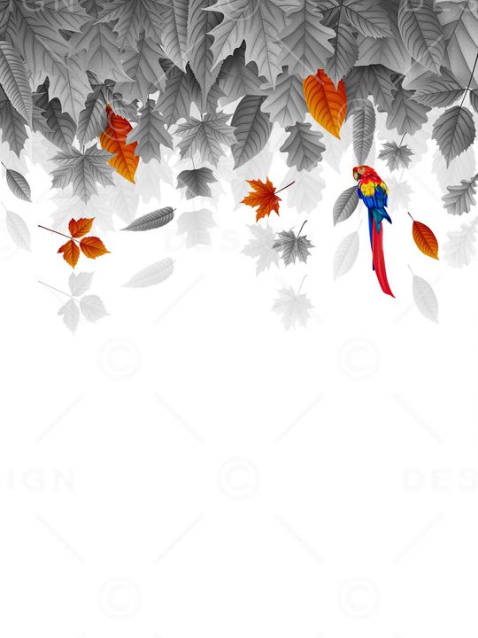 花鸟印花华亿平台图片