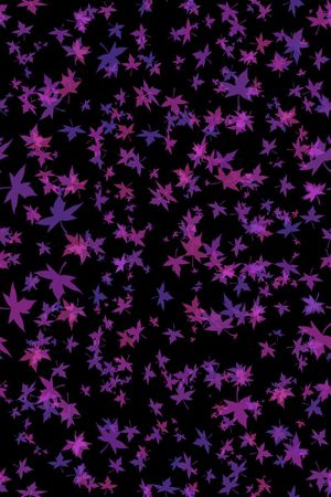 黑底花卉印花华亿平台图片