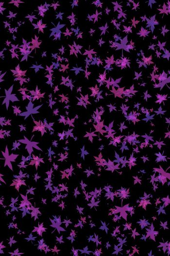 黑底花卉印花华亿平台图片