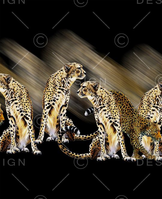 豹子印花华亿平台图片