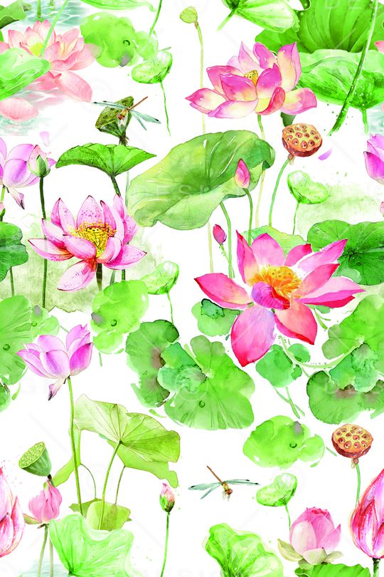 手绘荷花印花华亿平台图片