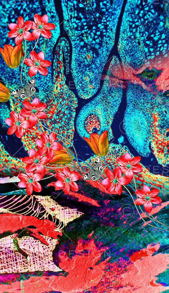 笔触印花华亿平台图片