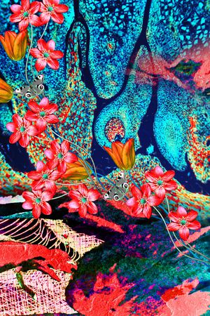 笔触印花华亿平台图片