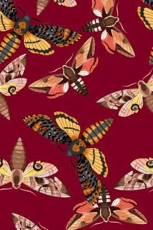 大牌风印花华亿平台图片