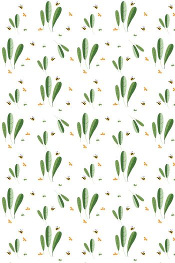 1148095-蜜蜂植物