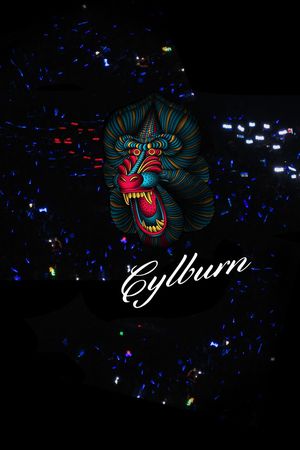 大牌风印花华亿平台图片