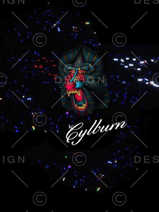 大牌风印花华亿平台图片