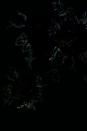 黑底花卉印花华亿平台图片