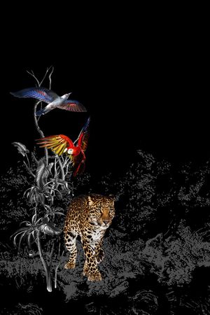 比翼鸟印花华亿平台图片