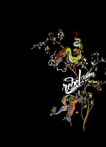 大牌风印花华亿平台图片