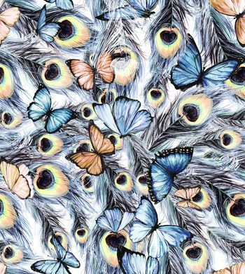 1148449-181124蝴蝶白