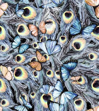 1148450-181124蝴蝶黑