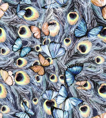 1148451-181124蝴蝶蓝