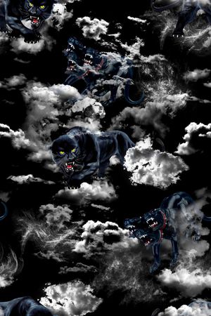 大牌风印花华亿平台图片