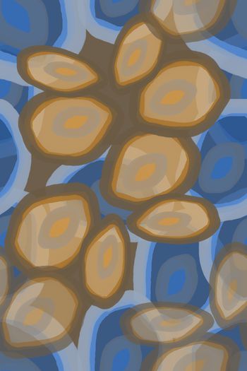 1148591-181128-yz-1-2