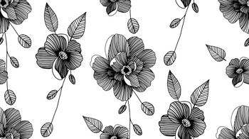 1148656-181125牡丹