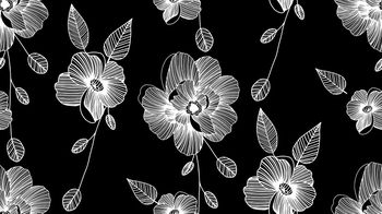 1148658-181125牡丹黑