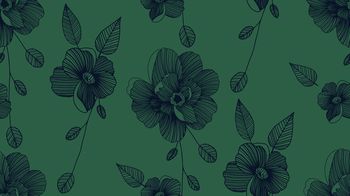 1148659-181125牡丹黑绿色