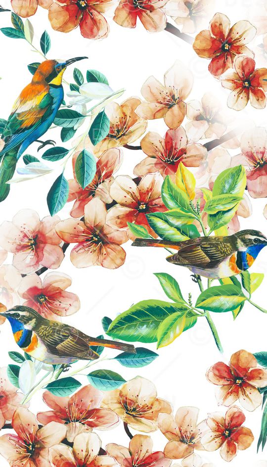 鸟印花华亿平台图片