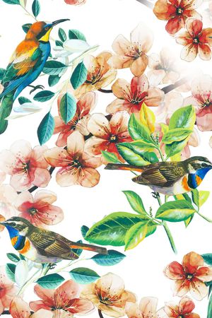 鸟印花华亿平台图片