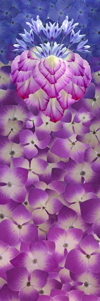 大牌风印花华亿平台图片