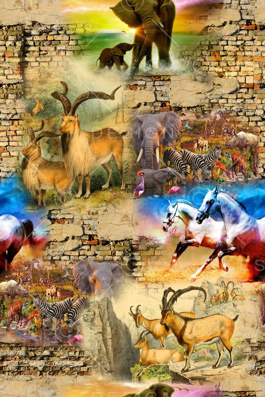 动物印花华亿平台图片