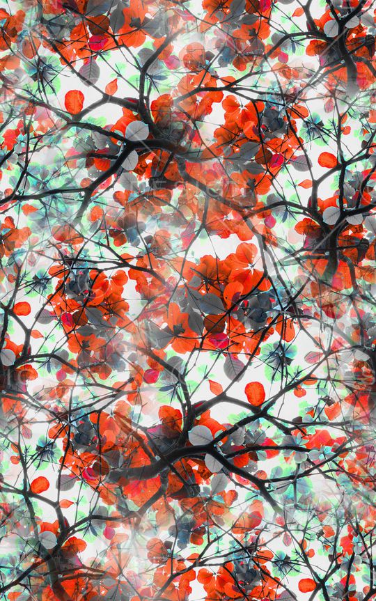 定位花印花华亿平台图片